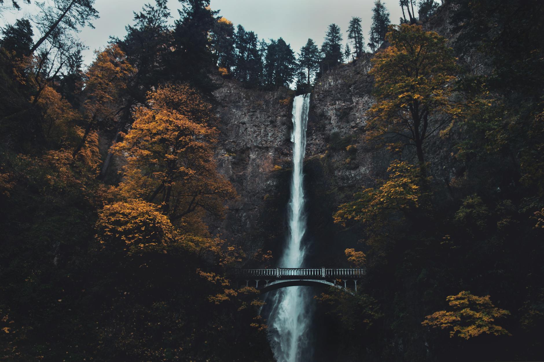 photo of multnomah waterfalls